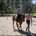 Take the Reins: Dive Into Essential Horse Training Techniques!