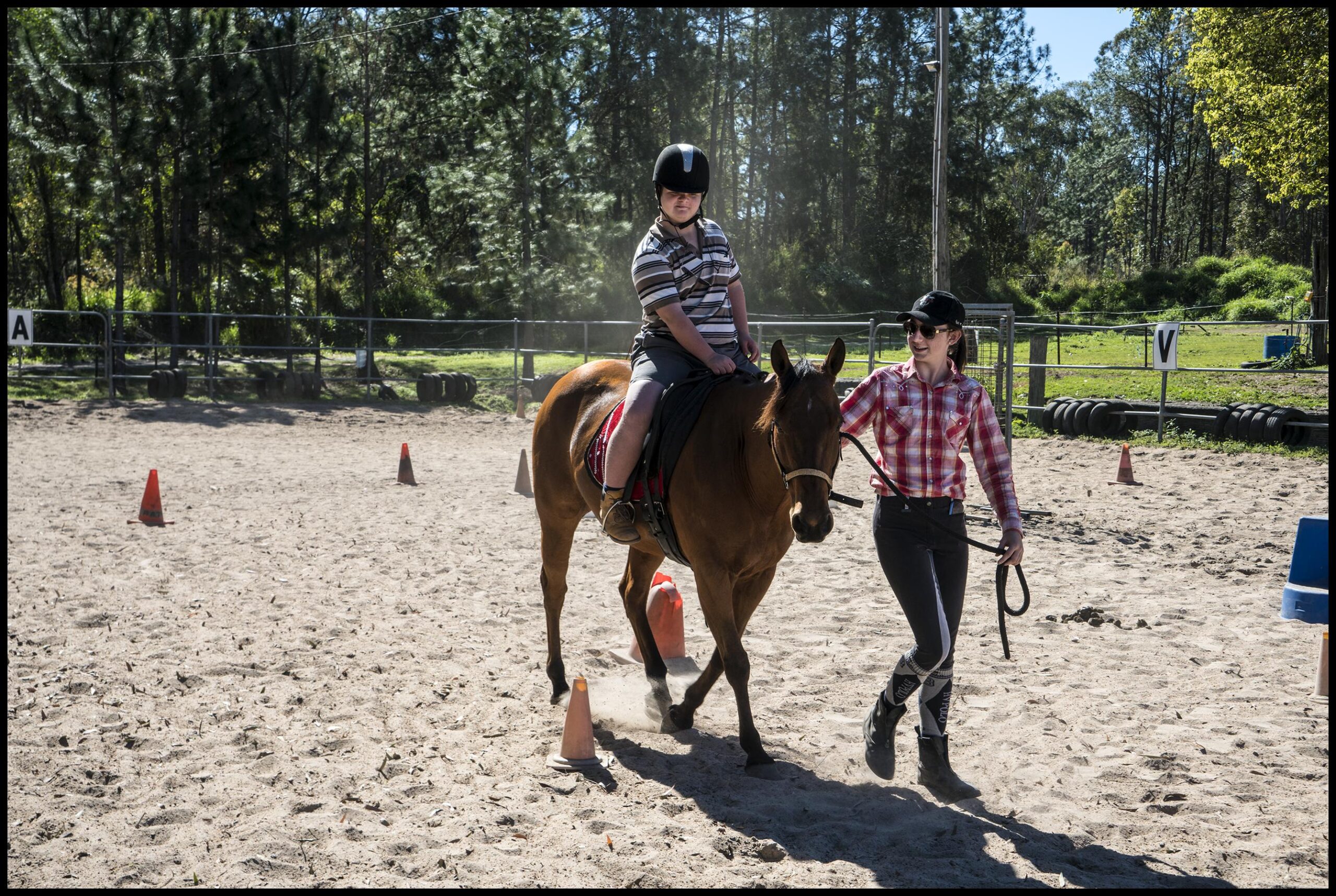 Take the Reins: Dive Into Essential Horse Training Techniques!