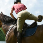 Enhance Performance: Harness the Power of Horse Training Techniques!