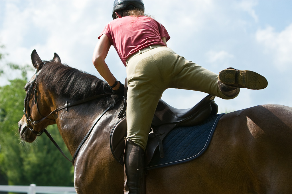 Enhance Performance: Harness the Power of Horse Training Techniques!