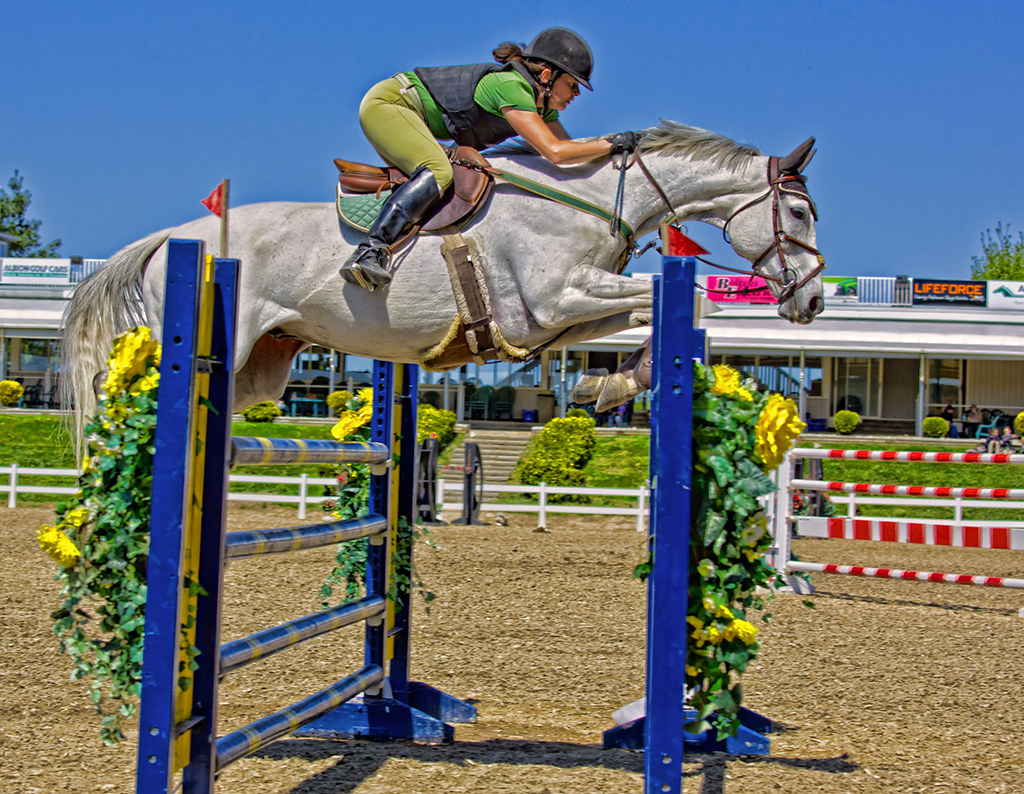 Unlock Success: Learn Vital Equestrian Care Essentials Now!
