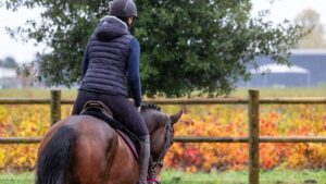 Discover Proven Horse Training Techniques for Success!